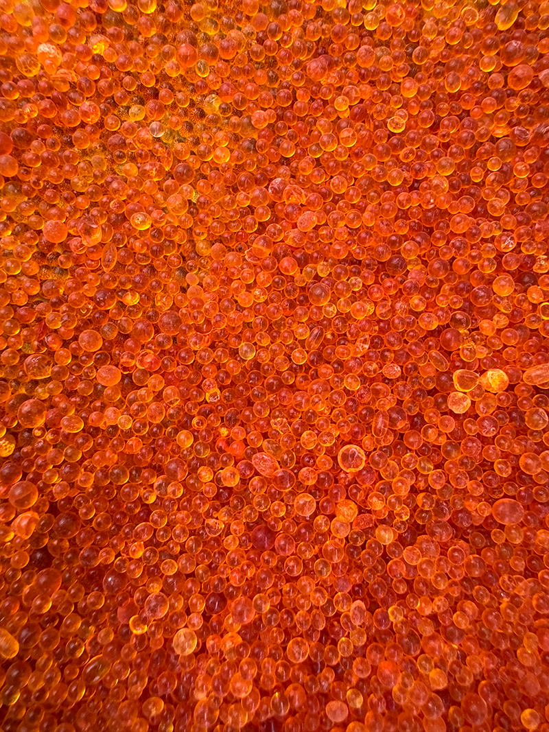 1729844152621584.jpg 04.jpg